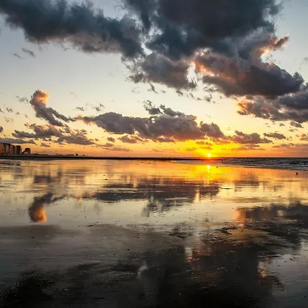 Peacefully Located Near The Sea *